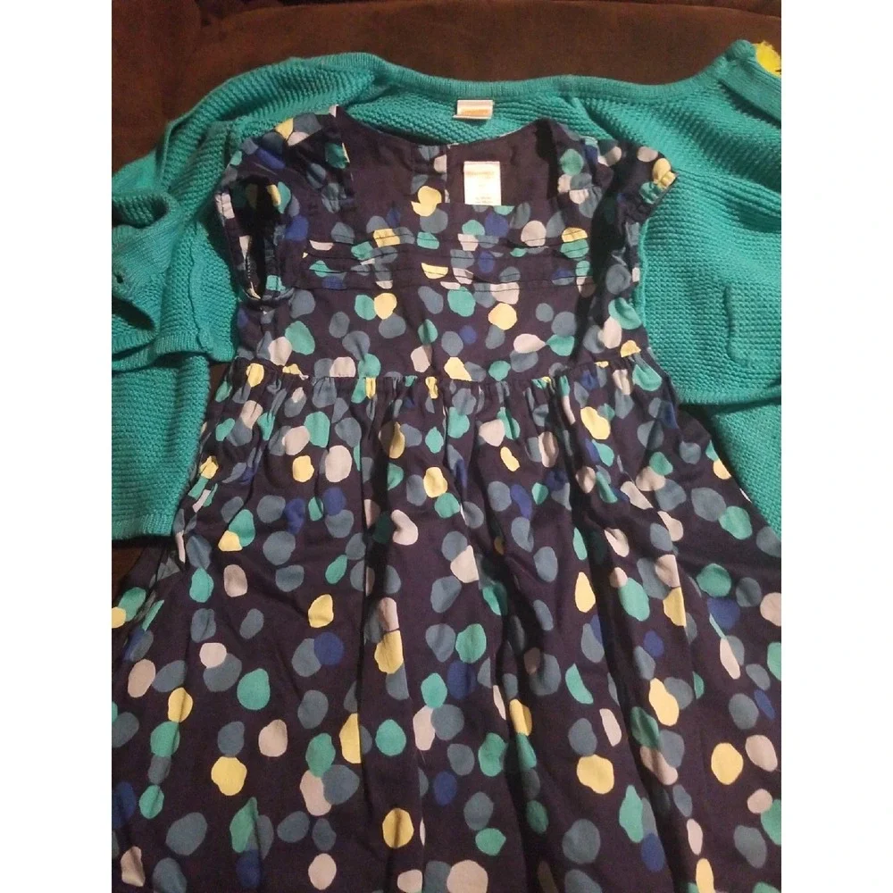 Gymboree happy bluebird dress‎ sweater 4t